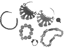 Иллюстрация к книге — От Великой княгини до Императрицы. Женщины царствующего дома [i_004.jpg]