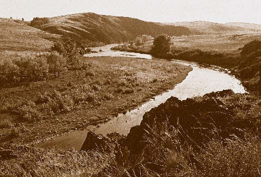 Иллюстрация к книге — Немцы на Южном Урале [i_165.jpg]