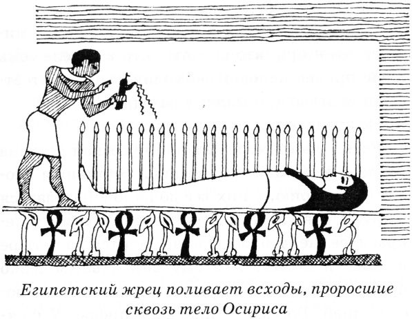 Иллюстрация к книге — Тайны древнего мира [untitled02.jpg]