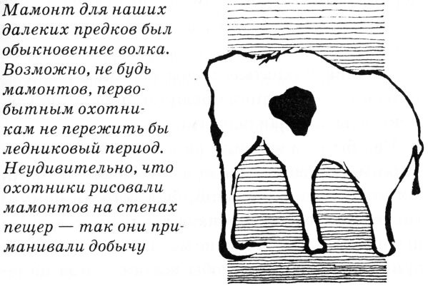 Иллюстрация к книге — Тайны древнего мира [untitled06.jpg]