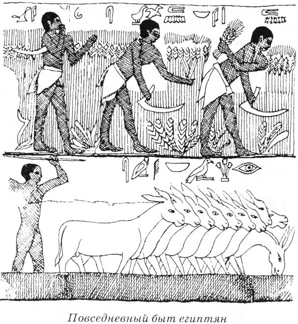 Иллюстрация к книге — Тайны древнего мира [untitled34.jpg]