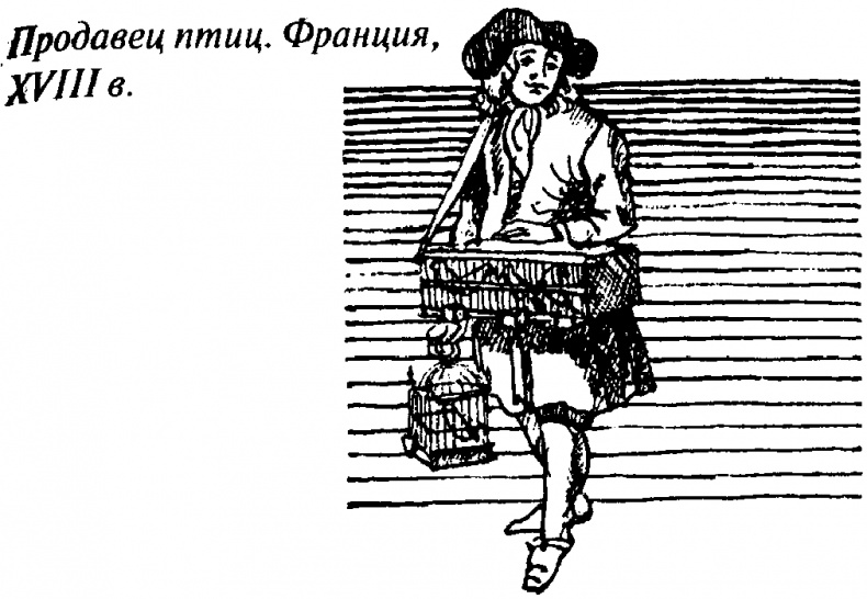 Иллюстрация к книге — Тайны Нового времени [_0512.jpg]