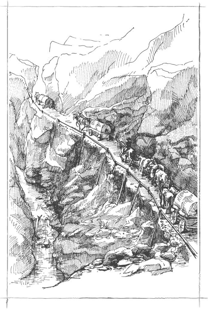 Иллюстрация к книге — Маленький золотоискатель [b00000051.jpg]