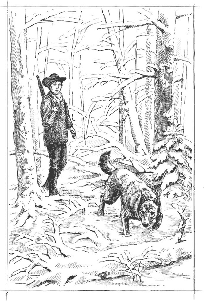 Иллюстрация к книге — Маленький золотоискатель [b00000095.jpg]