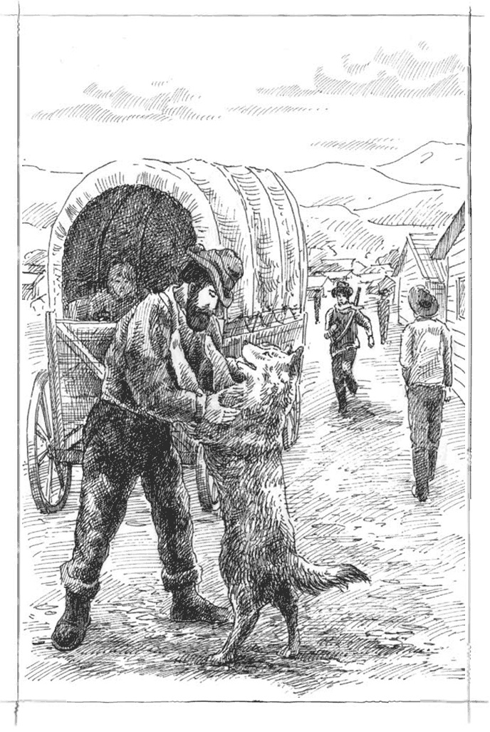 Иллюстрация к книге — Маленький золотоискатель [b00001875.jpg]