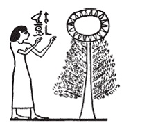 Иллюстрация к книге — Египетская мифология [i_021.jpg]