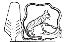 Иллюстрация к книге — Египетская мифология [i_105.jpg]