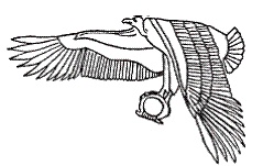 Иллюстрация к книге — Египетская мифология [i_146.jpg]