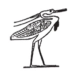 Иллюстрация к книге — Египетская мифология [i_177.jpg]