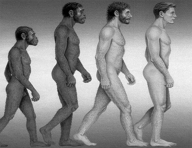 Иллюстрация к книге — Дети вегетарианцы [i_006.jpg]