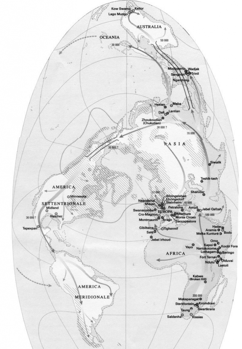 Иллюстрация к книге — Дети вегетарианцы [i_007.jpg]
