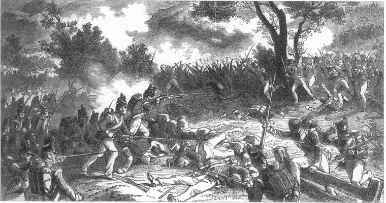 Иллюстрация к книге — Три Португальских похода Наполеона [i_026.jpg]