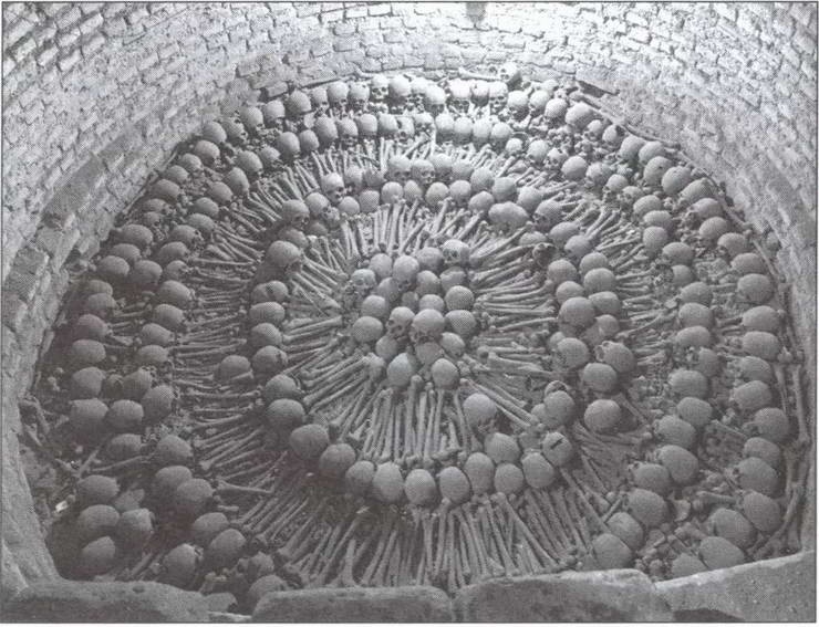 Иллюстрация к книге — Символ "мертвая голова" [i_012.jpg]