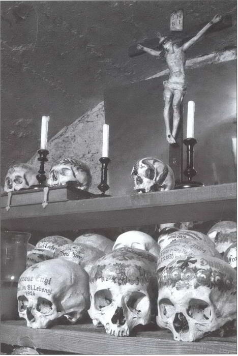 Иллюстрация к книге — Символ &quot;мертвая голова&quot; [i_013.jpg]