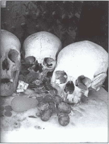 Иллюстрация к книге — Символ &quot;мертвая голова&quot; [i_015.jpg]