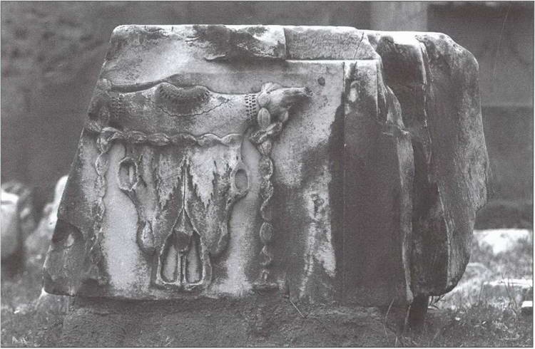 Иллюстрация к книге — Символ &quot;мертвая голова&quot; [i_023.jpg]