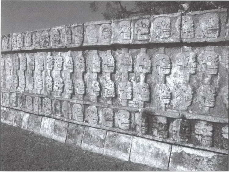 Иллюстрация к книге — Символ &quot;мертвая голова&quot; [i_026.jpg]