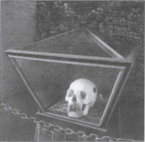 Иллюстрация к книге — Символ &quot;мертвая голова&quot; [i_034.jpg]