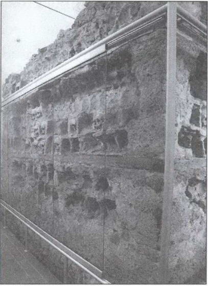 Иллюстрация к книге — Символ &quot;мертвая голова&quot; [i_035.jpg]