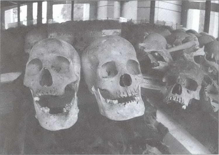 Иллюстрация к книге — Символ &quot;мертвая голова&quot; [i_036.jpg]