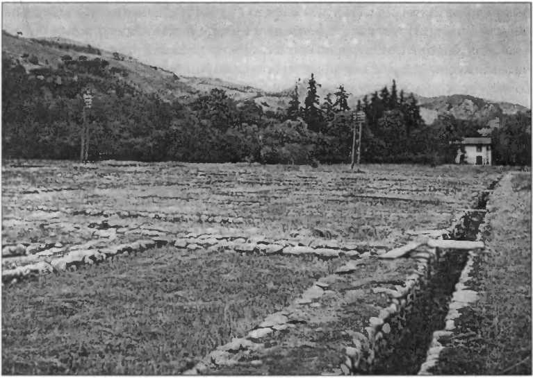 Иллюстрация к книге — Нить Ариадны [doc2fb_image_02000046.jpg]