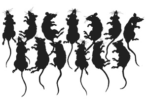 Иллюстрация к книге — Меня зовут Алиса [block_001320_menalis76.jpg]