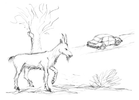 Иллюстрация к книге — Завтрак в облаках [i_016.jpg]