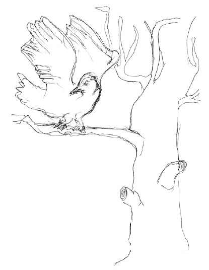 Иллюстрация к книге — Завтрак в облаках [i_019.jpg]