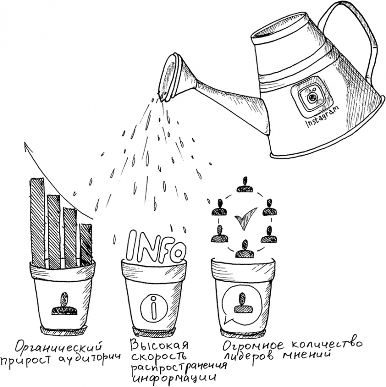 Иллюстрация к книге — Инстаграм. Хочу likes и followers [i_001.jpg]