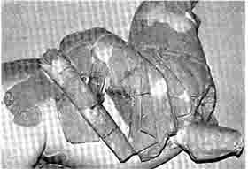 Иллюстрация к книге — Армии мусульманского Востока. VII-XI века [i_007.jpg]