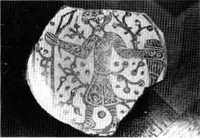 Иллюстрация к книге — Армии мусульманского Востока. VII-XI века [i_047.jpg]