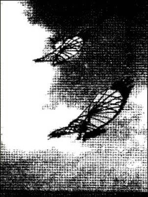 Иллюстрация к книге — Полеты богов и людей [i_006.jpg]