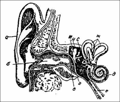 Иллюстрация к книге — Полеты богов и людей [i_098.jpg]