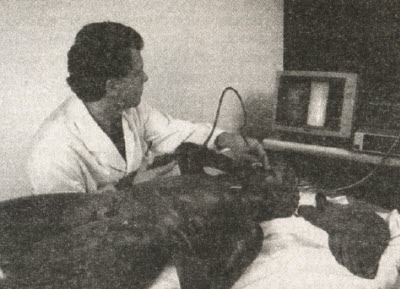 Иллюстрация к книге — Сокровища на дне [i_011.jpg]