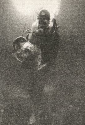 Иллюстрация к книге — Сокровища на дне [i_016.jpg]