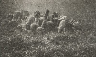 Иллюстрация к книге — Сокровища на дне [i_018.jpg]