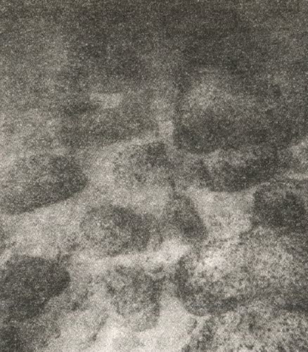 Иллюстрация к книге — Сокровища на дне [i_029.jpg]