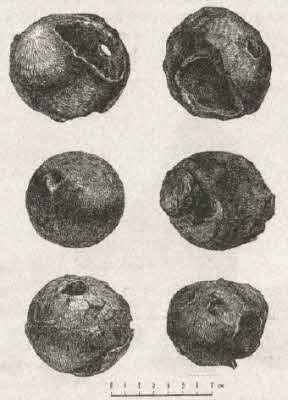 Иллюстрация к книге — Сокровища на дне [i_076.jpg]