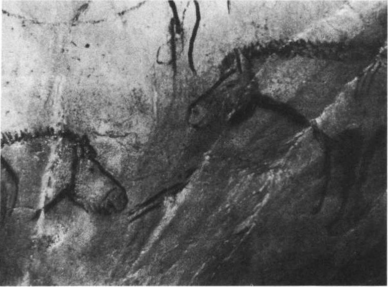 Иллюстрация к книге — Цивилизация. Новая история Западного мира [img_36.jpg]