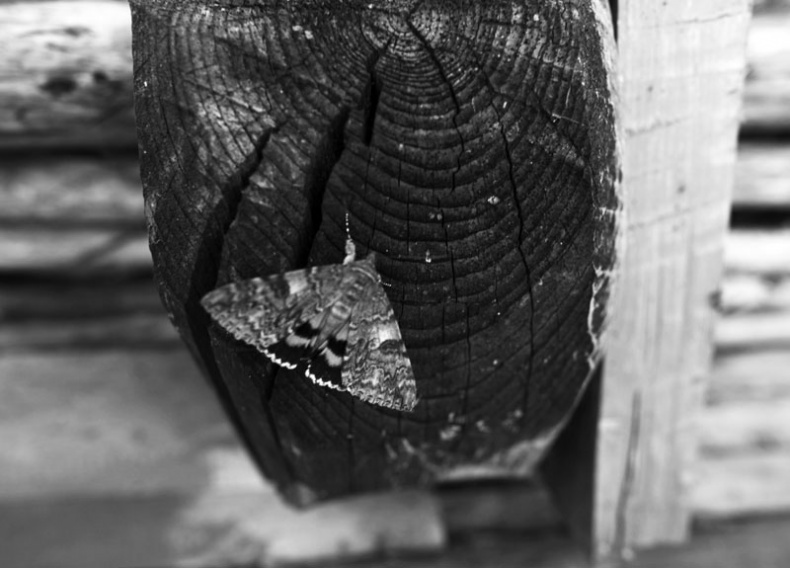 Иллюстрация к книге — Ты, главное, пиши о любви [i_005.jpg]