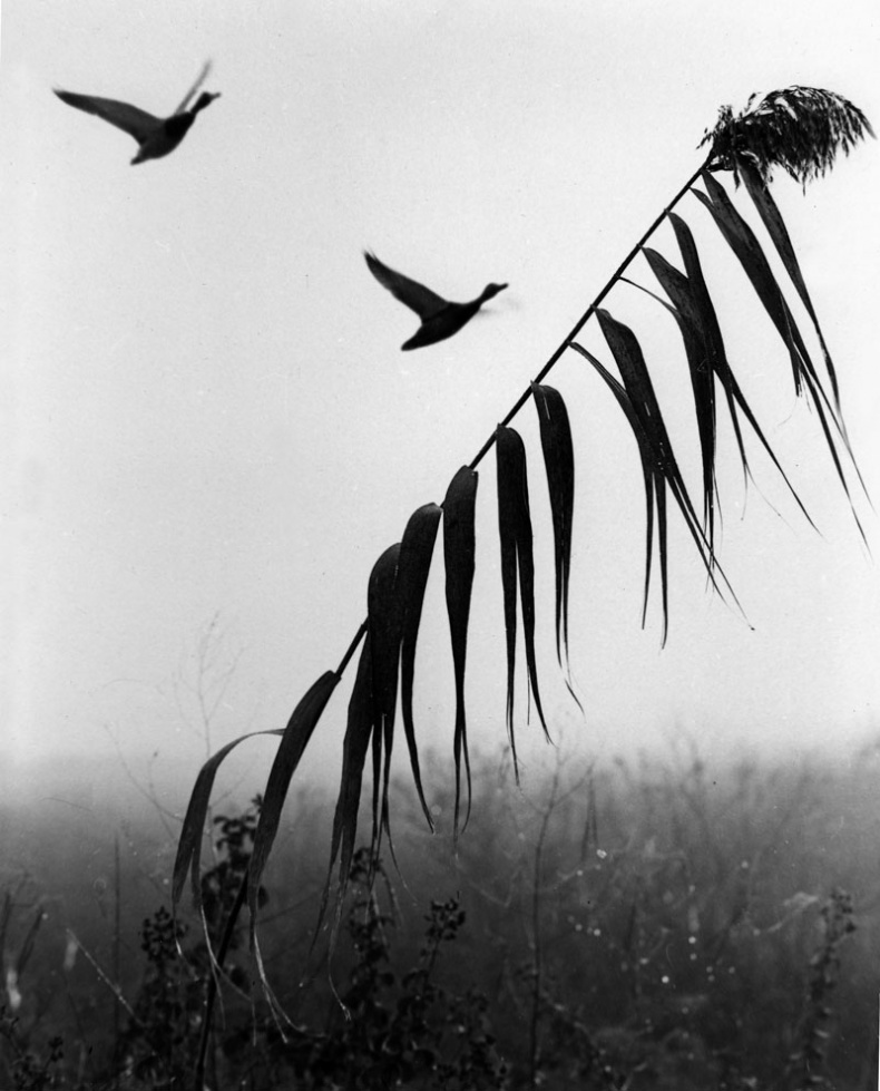 Иллюстрация к книге — Ты, главное, пиши о любви [i_010.jpg]