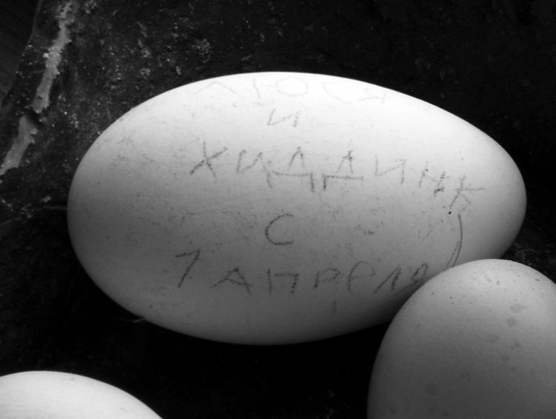 Иллюстрация к книге — Ты, главное, пиши о любви [i_012.jpg]