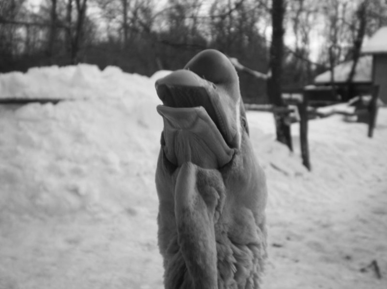 Иллюстрация к книге — Ты, главное, пиши о любви [i_014.jpg]