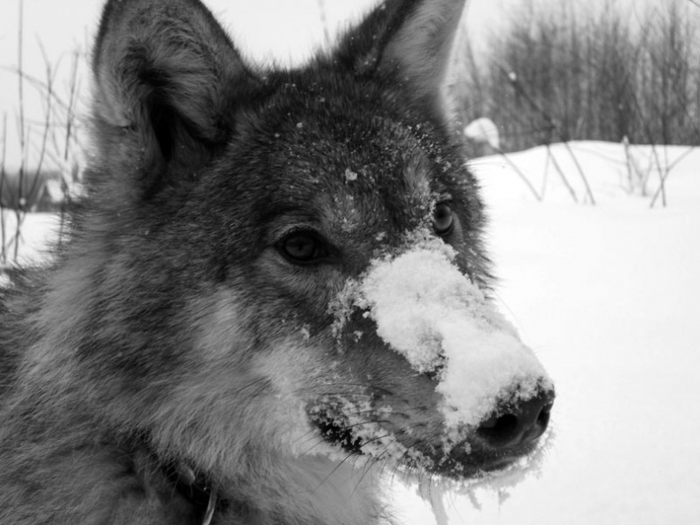 Иллюстрация к книге — Ты, главное, пиши о любви [i_015.jpg]