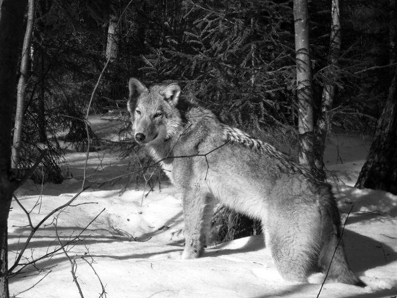 Иллюстрация к книге — Ты, главное, пиши о любви [i_024.jpg]