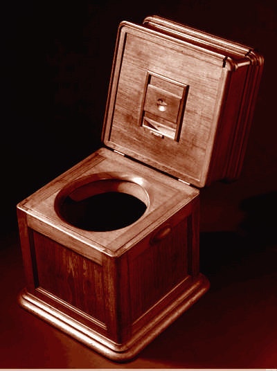 Иллюстрация к книге — Это неприлично. Руководство по сексу, манерам и премудростям замужества для викторианской леди [i_021.jpg]