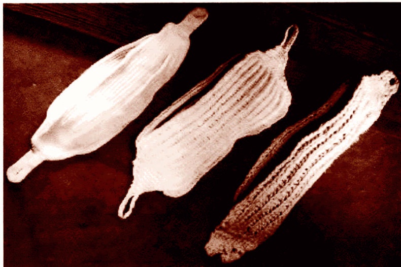 Иллюстрация к книге — Это неприлично. Руководство по сексу, манерам и премудростям замужества для викторианской леди [i_044.jpg]