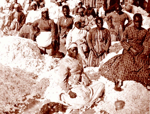 Иллюстрация к книге — Это неприлично. Руководство по сексу, манерам и премудростям замужества для викторианской леди [i_053.jpg]