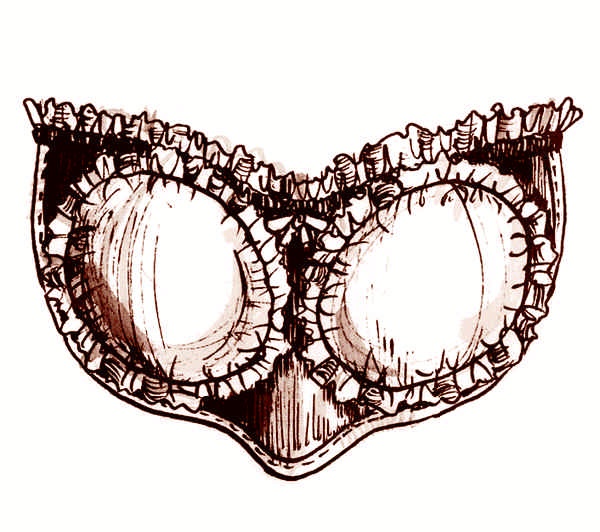 Иллюстрация к книге — Это неприлично. Руководство по сексу, манерам и премудростям замужества для викторианской леди [i_071.jpg]