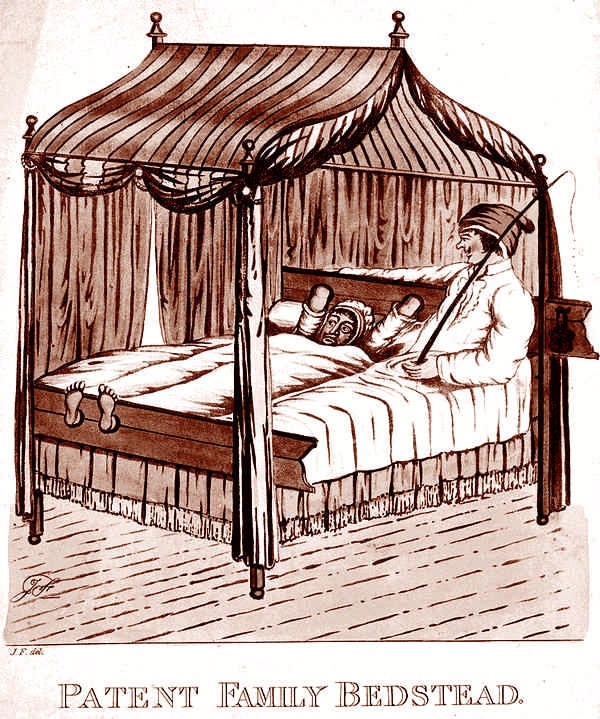 Иллюстрация к книге — Это неприлично. Руководство по сексу, манерам и премудростям замужества для викторианской леди [i_100.jpg]